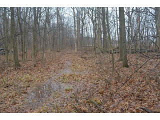 Property photo 36 - FARM AUCTION - 60.5+/- ACRES IN 5 TRACTS IN ALLEN COUNTY, INDIANA